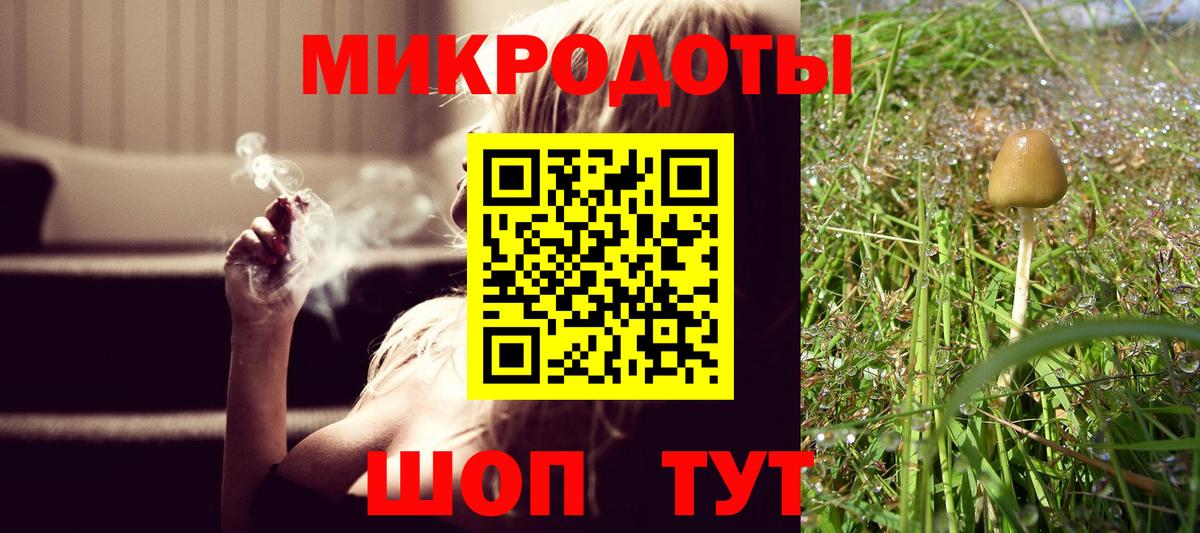 Галлюциногенные грибы Psilocybine cubensis Киселёвск