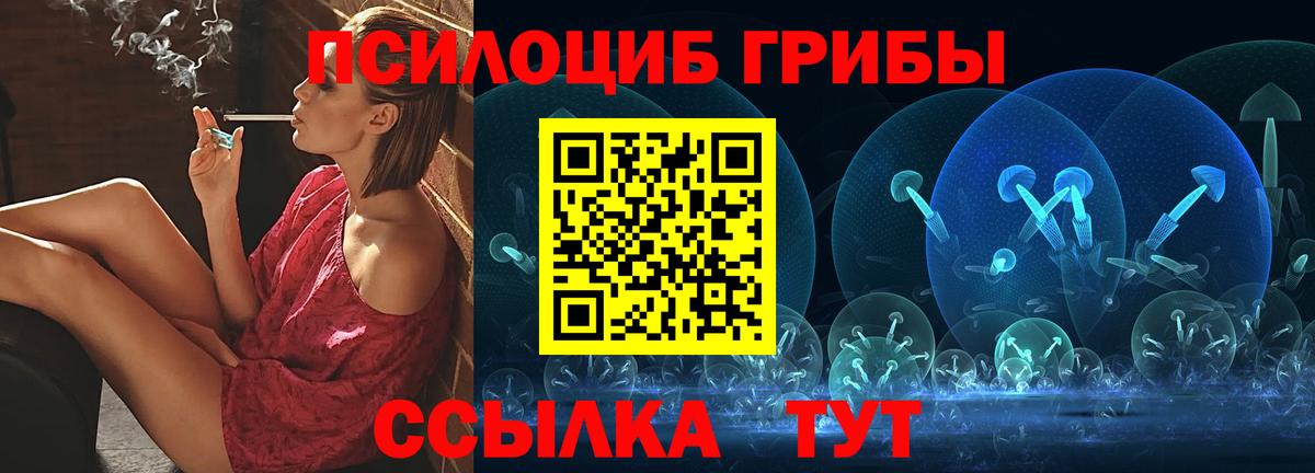 A PVP Киселёвск