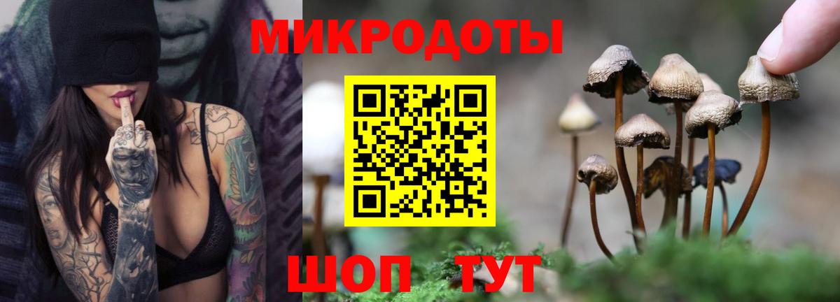 Псилоцибиновые грибы мицелий  Вход с VPN  Киселёвск 